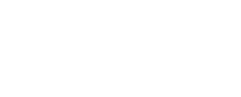 NYU Stern Berkley Center for Entrepreneurship Logo