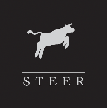 Kicking Off SVF: Steer